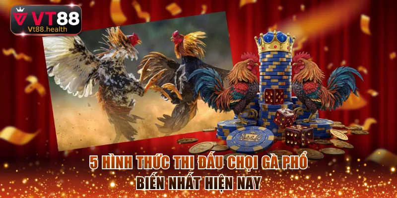 5 hình thức thi đấu chọi gà phổ biến nhất hiện nay