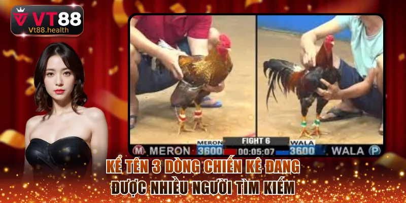 Kể tên 3 dòng chiến kê đang được nhiều người tìm kiếm