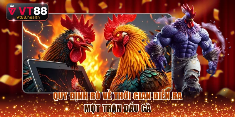 Quy định rõ về thời gian diễn ra một trận đấu gà